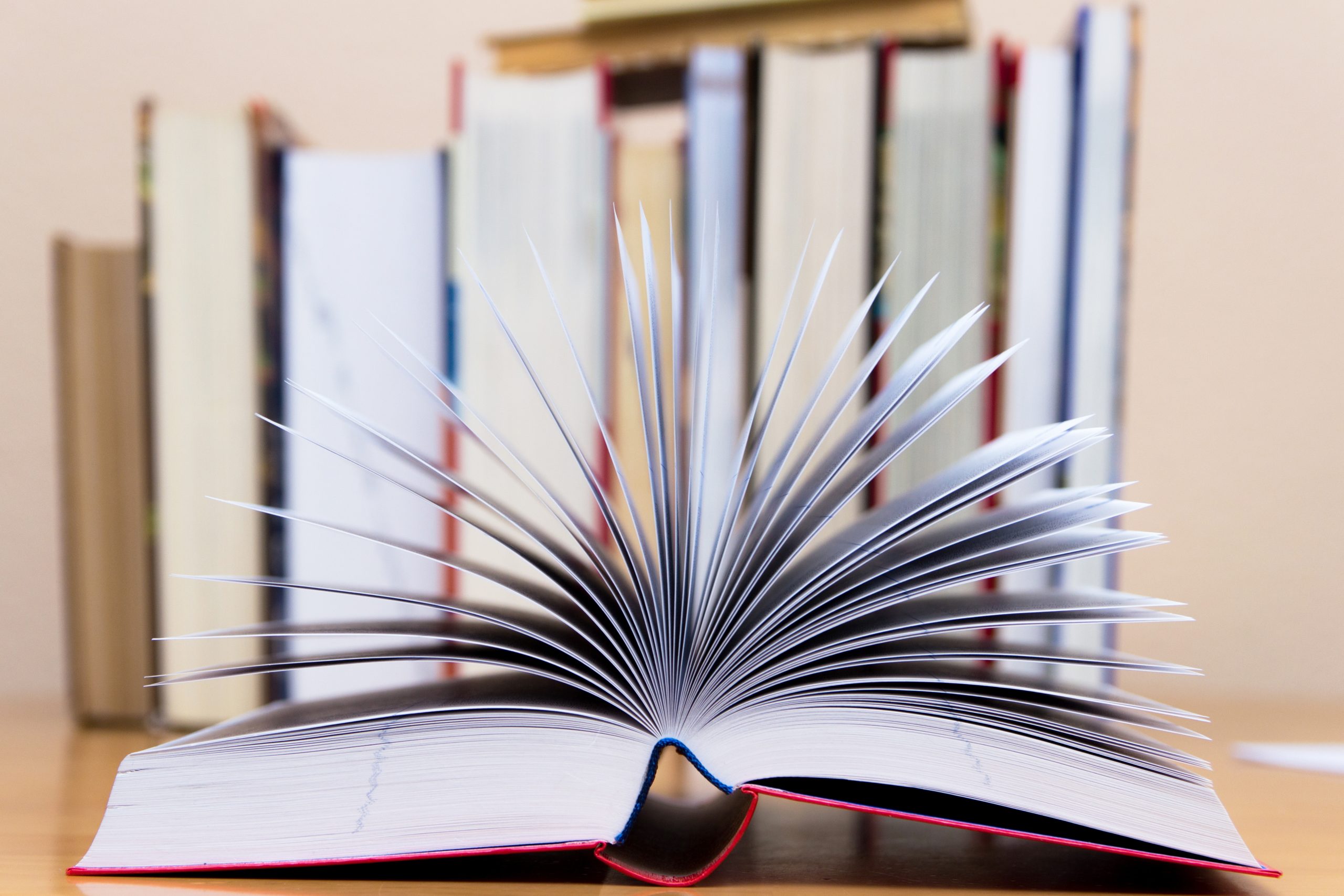 Algunos libros que los emprendedores deberían leer